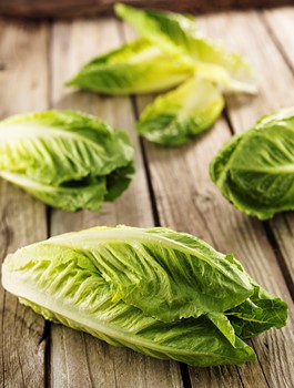 Romansallad